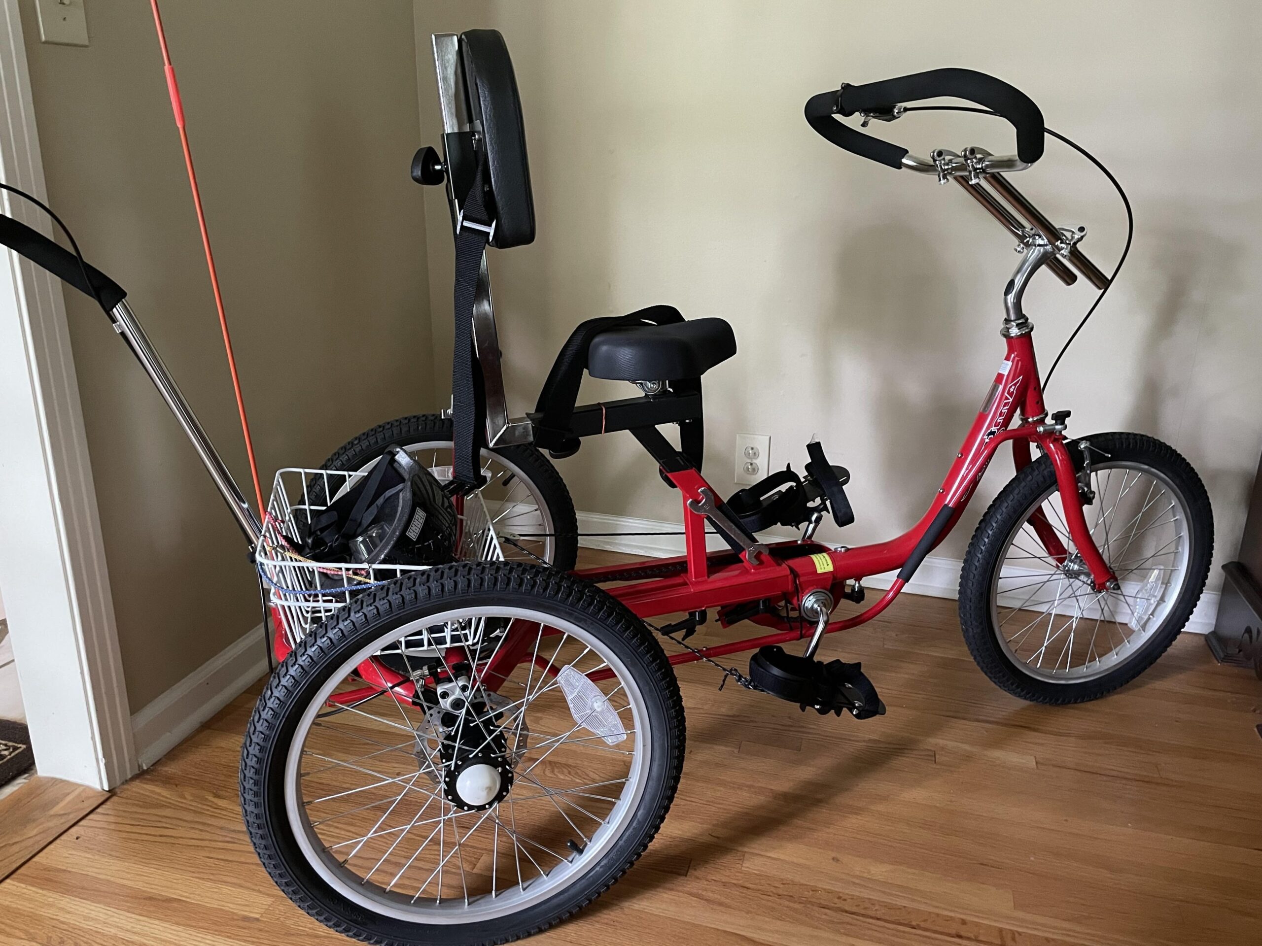 Hitch-Mounted Tricycle Carrier